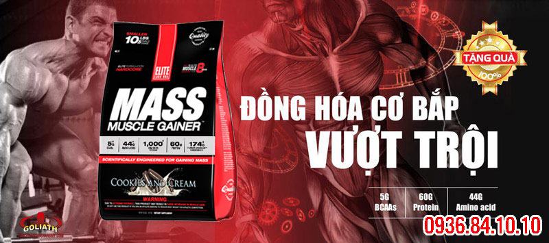 cach dung EliteLab Mass Muscle Gainer 10LBS