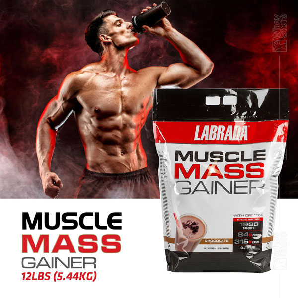Muscle Mass Gainer